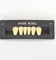 Фронтальные нижние зубы искусственные двухслойные акриловые KAILI Huge, Китай
