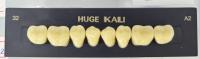 Нижние боковые зубы искусственные двухслойные акриловые KAILI Huge, Китай